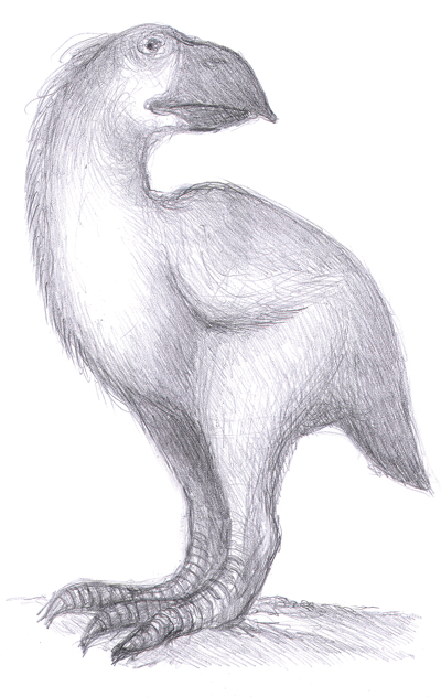 Gastornis