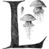 Lettrine