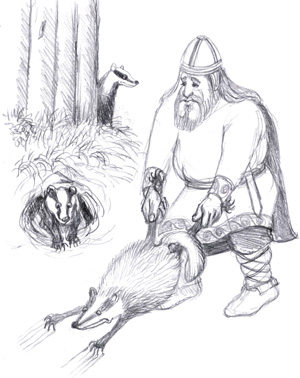 Déterrage des blaireaux par Odon le Poilu