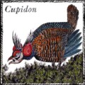 cupidon cupidon