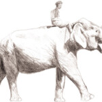 éléphant-et-cornac